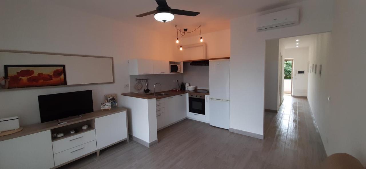Casa Mara Διαμέρισμα Santa Marinella Εξωτερικό φωτογραφία