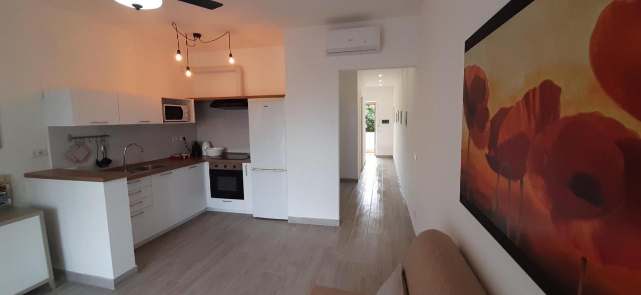 Casa Mara Διαμέρισμα Santa Marinella Εξωτερικό φωτογραφία