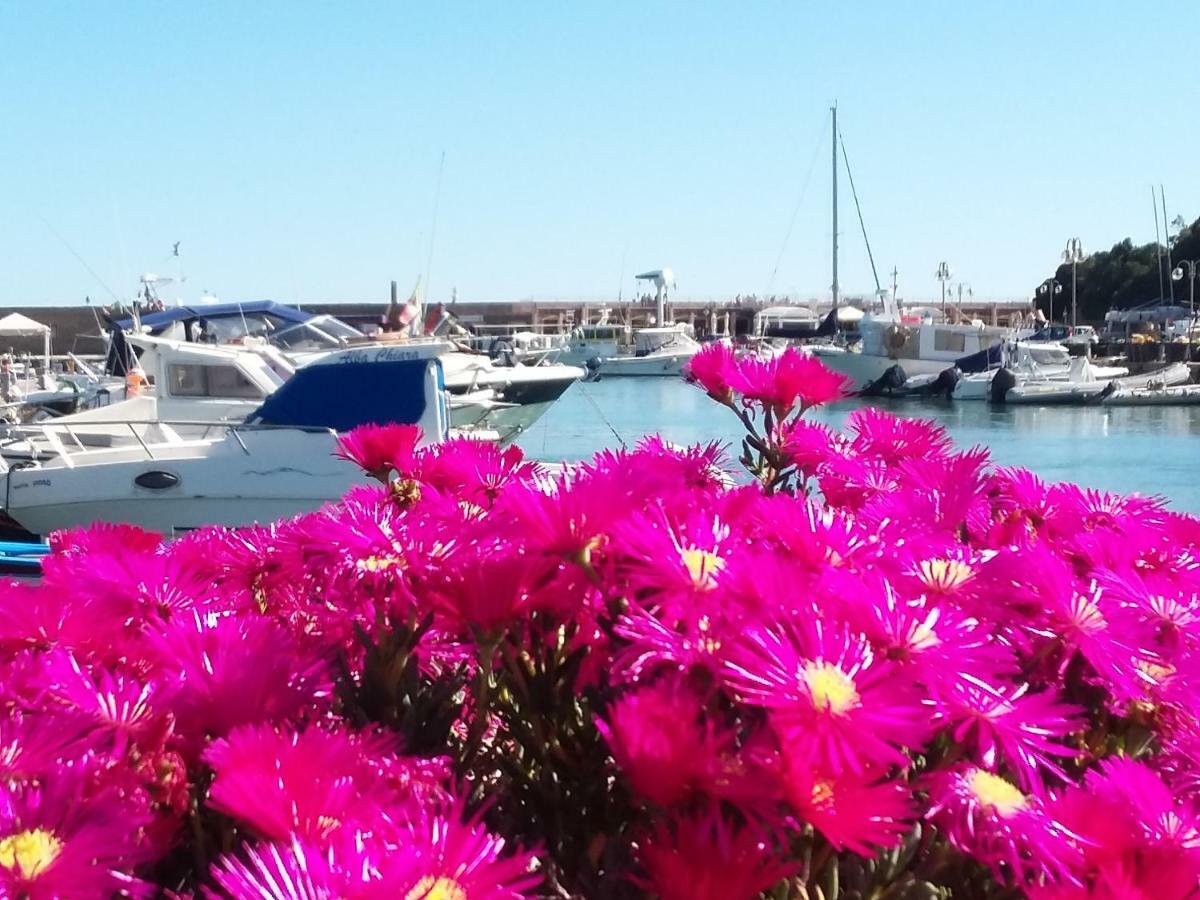 Casa Mara Διαμέρισμα Santa Marinella Εξωτερικό φωτογραφία